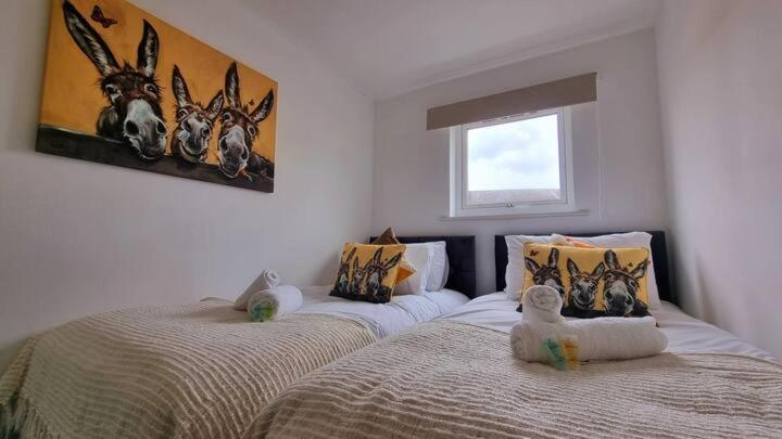 Apartament No 62 Fivedom - Charming & Cosy Southampton Zewnętrze zdjęcie
